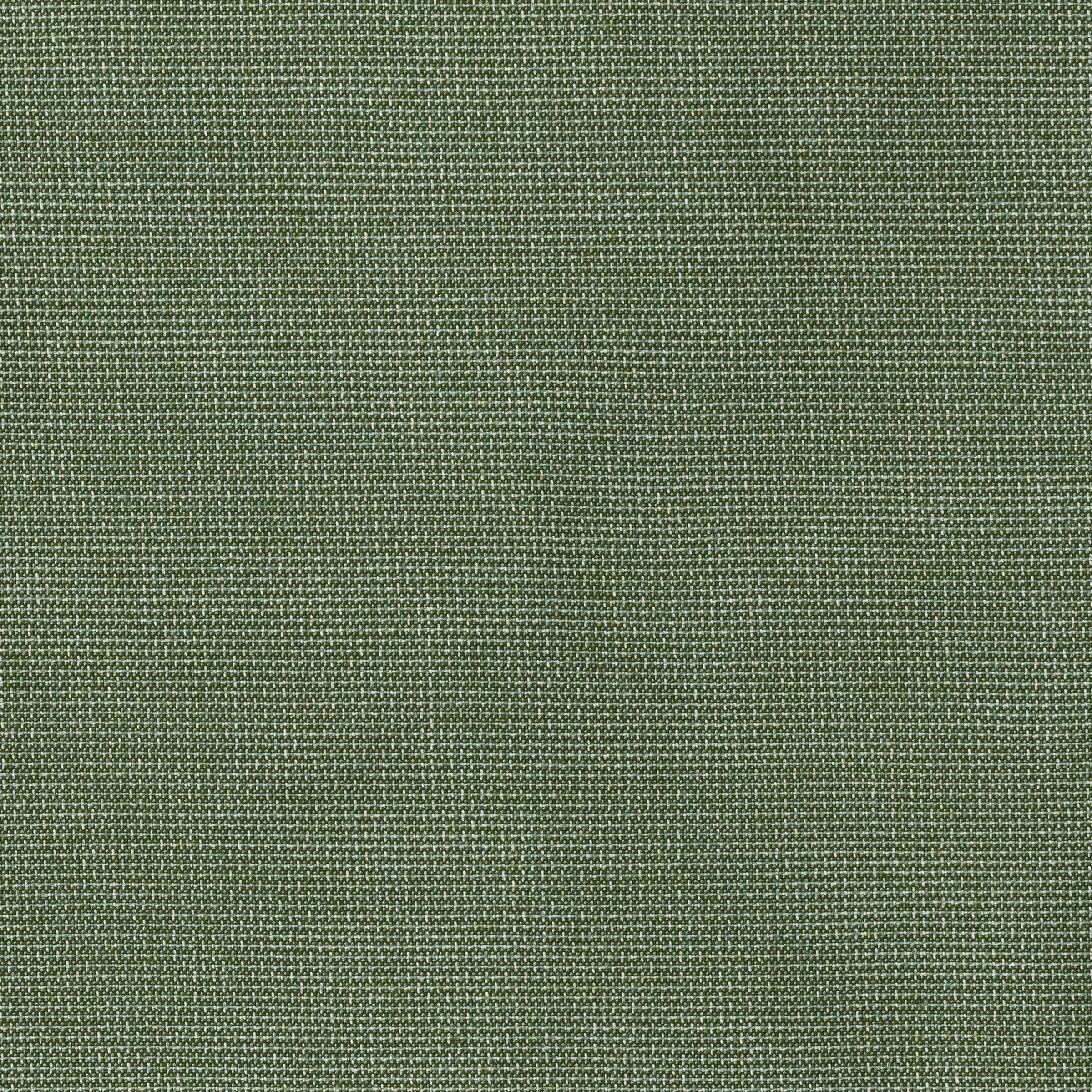 Bliss Aloe fabric swatch