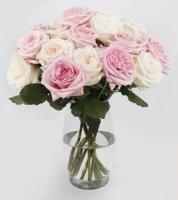 Scented White O'Hara & Pink O'Hara Garden Rose Bouquet 18 Stems