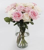 Scented White O'Hara & Pink O'Hara Garden Rose Bouquet 12 Stems