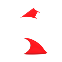 Option value image