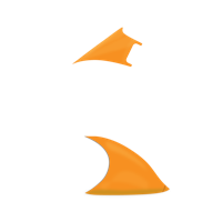 Option value image