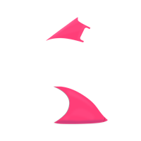 Option value image