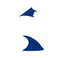 Option value image