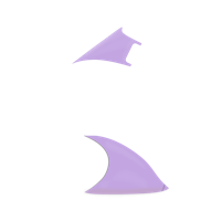 Option value image