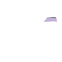 Option value image