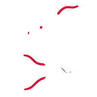 Option value image