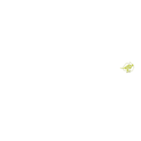 Option value image