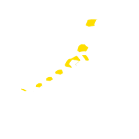 Option value image