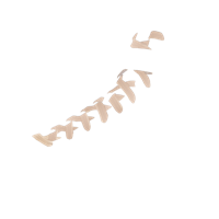 Option value image