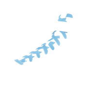 Option value image