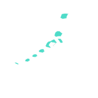 Option value image