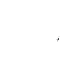 Option value image