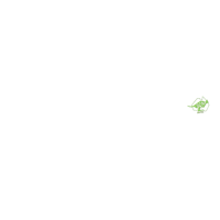 Option value image