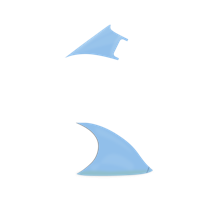 Option value image