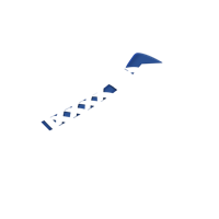 Option value image