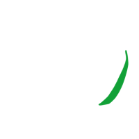 Option value image