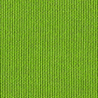 54011 Ginkgo