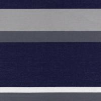 6670 Reliant Coast Stripe