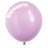 https://apo-admin.mageworx.com/front/img/fig-balloon-co.myshopify.com/04a3b74829826d23dab855a9a3237ac98fbfcddf821e443e6765944ca95468ce
