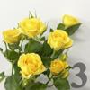 https://apo-admin.mageworx.com/front/img/floristiquesg.myshopify.com/3695a623c2f28a27fa0b19fc464baa04b38662b74558620d1ca3d483e228a415