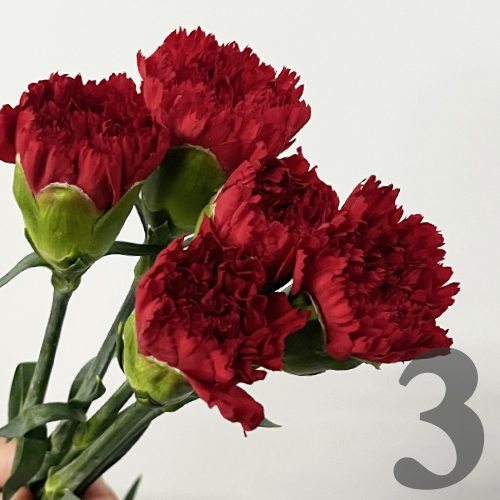 https://apo-admin.mageworx.com/front/img/floristiquesg.myshopify.com/495e8b7f0a659f39f46e66a7c28aca55912fa68144f93ea6d92d10788aa46b78