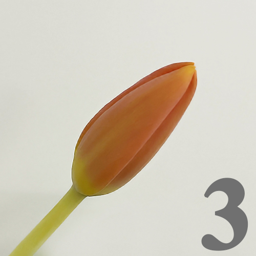 https://apo-admin.mageworx.com/front/img/floristiquesg.myshopify.com/4e63ed54ae145106dcff6a63ba41f81e08976b9073c2d96b35428981fbb34ff1