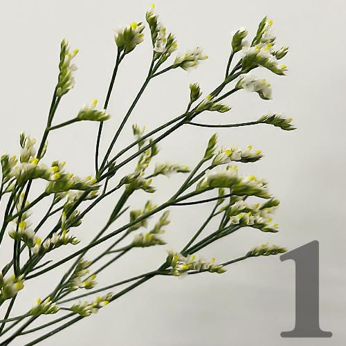 https://apo-admin.mageworx.com/front/img/floristiquesg.myshopify.com/737dee0209329f5a418d6fdf346ae3e5cd8f73bbdac3a865b147762bc116d72e
