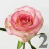 https://apo-admin.mageworx.com/front/img/floristiquesg.myshopify.com/87de0f8dac696dfcd0dcd1a0d98abe75c3f8616c590386cd1e18cd7e02191130