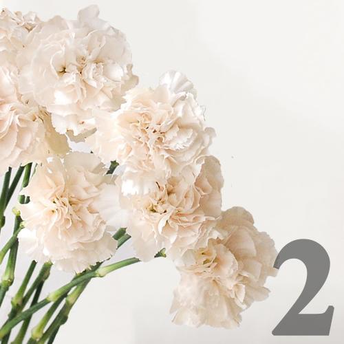 https://apo-admin.mageworx.com/front/img/floristiquesg.myshopify.com/9c4f605f819e0190b940eef977aefc6544afa267f347fdc17874e4174bfbcc74