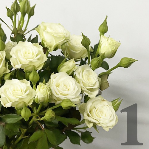 https://apo-admin.mageworx.com/front/img/floristiquesg.myshopify.com/a8da343852abc20804f5777806308a1312ad2407df13047c3349e5da6e774d01