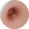 Areola Color 2