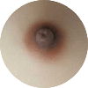 Areola Color 4