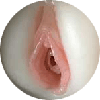 Labia Color 1