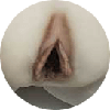 Labia Color 3