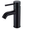 Vanity Faucet Matte Black