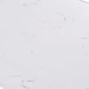 Marbelized Quartz Counter
