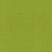 Option value image