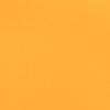 Neon Orange
