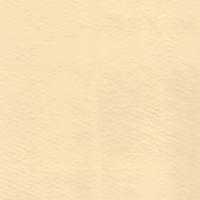 Option value image