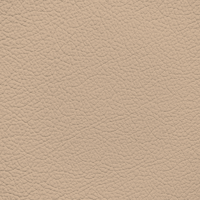 Option value image