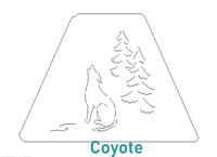 Coyote