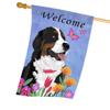 https://apo-admin.mageworx.com/front/img/sara-england.myshopify.com/551085984a2a88eafe0e8876b92d407c252dddad56652559217448dc45df5e03