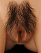 https://apo-admin.mageworx.com/front/img/sexdollgenie.myshopify.com/3e23f9538fedf035ce71e727571790433b6e2b54dc32eed90c563574ce5ce6a6