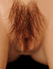 https://apo-admin.mageworx.com/front/img/sexdollgenie.myshopify.com/7cd6fbc18394a3c84f3688deb5c49c884b91cb8a35551604a616371c67f4a343