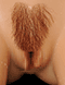 https://apo-admin.mageworx.com/front/img/sexdollgenie.myshopify.com/d0f79d79bcb2dd470e65644eb728731fa9cde72adb193fb02b683cde03c7a455