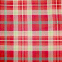 HIGHLAND ROSE 