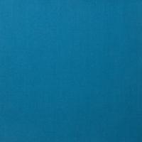 BLUE ANCIENT PLAIN
