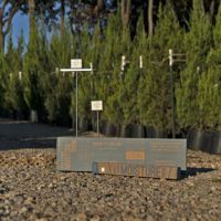 Tree Place Tree Care Kit